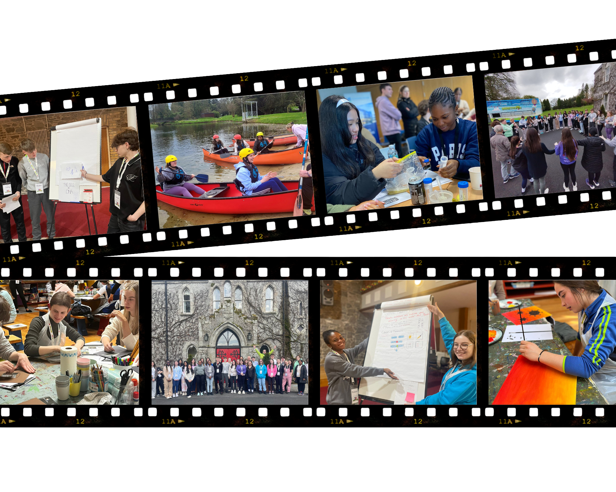 See 2024 and 2025 programme highlights.